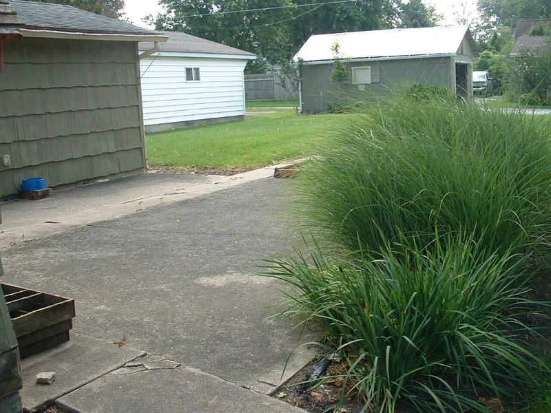 503 E Mechanic Street, Wapakoneta, OH 45895 Photo 9