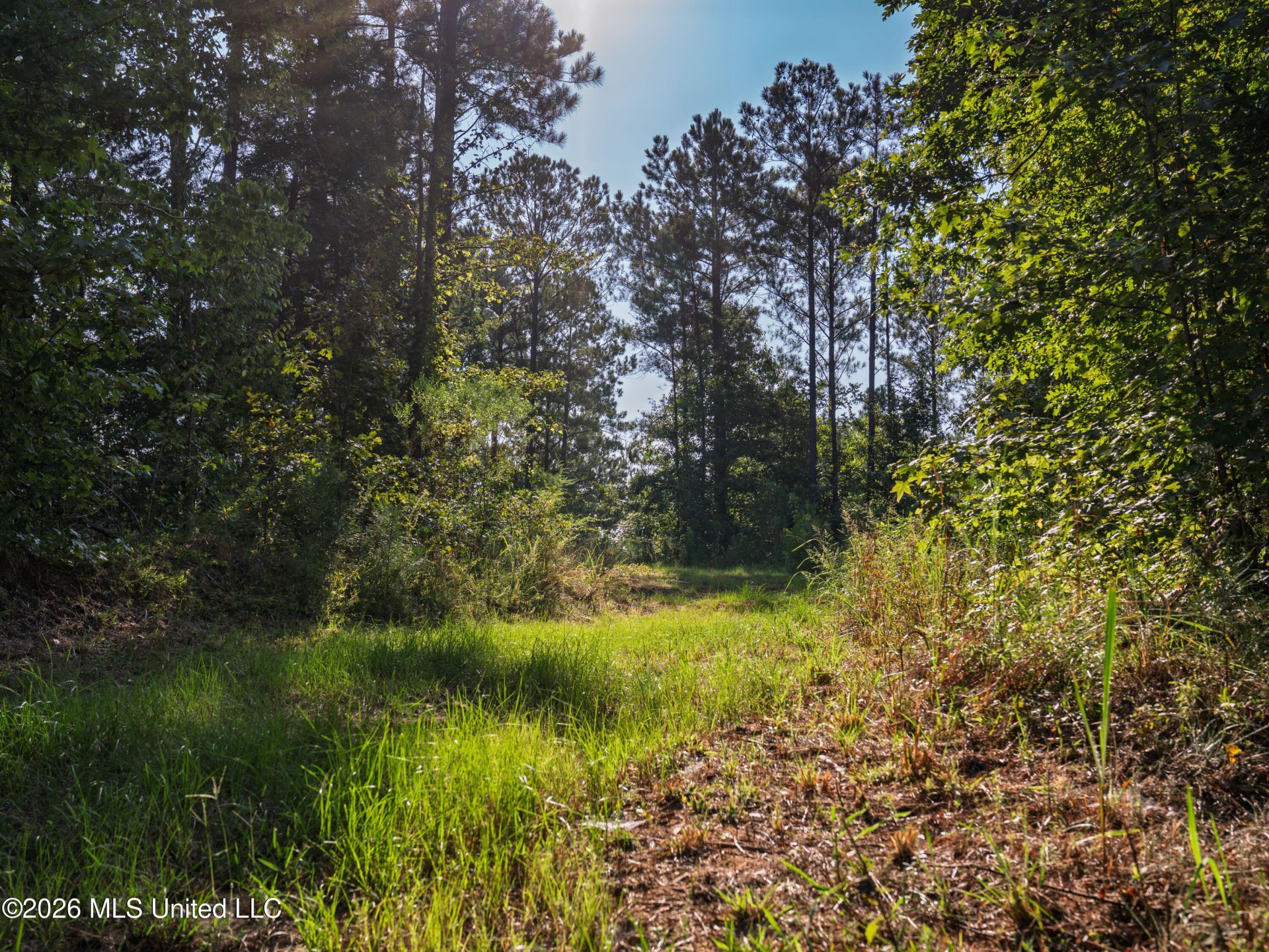 Attala Road 3053, Kosciusko, MS 39090 Main Photo