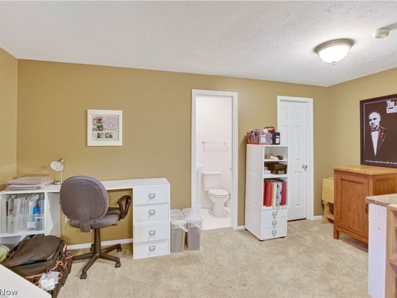 5175 Sassafras Drive, Medina, OH 44256 Photo 36