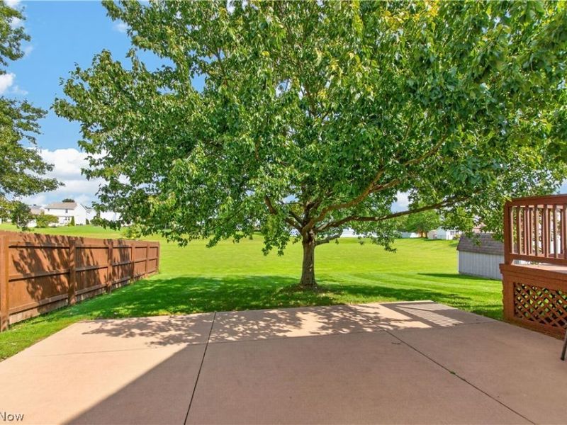 5175 Sassafras Drive, Medina, OH 44256 Photo 47