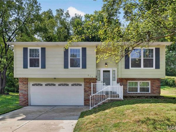 828 N Forest Avenue, Webster Groves, MO 63119