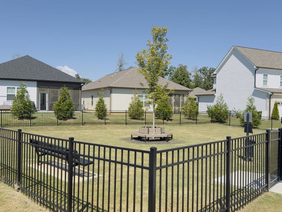 Property Image 38