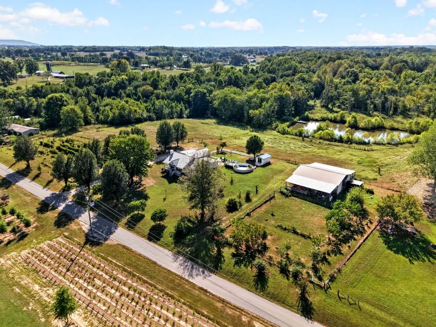 Property Image 5