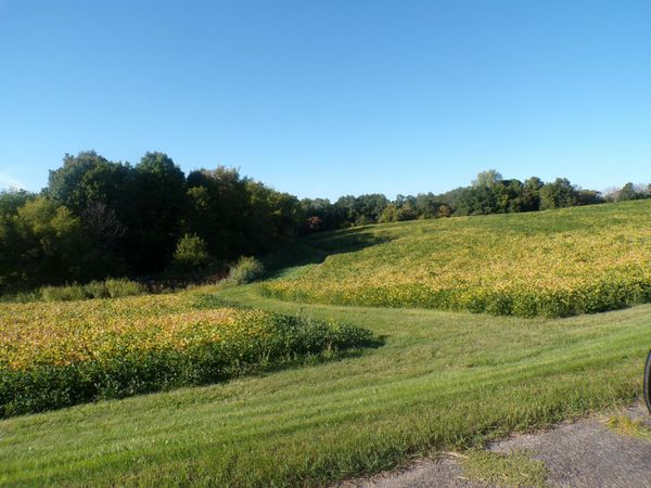 W8028 320th Avenue, Hager City, WI 54014