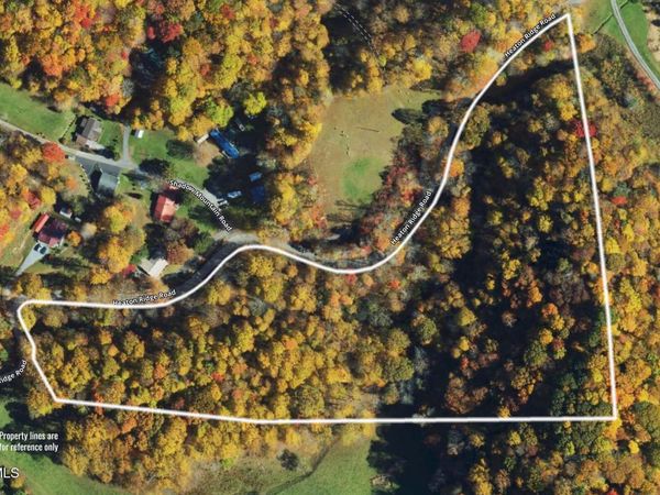 9.95 Acres Heaton Ridge Road, Roan Mountain, TN 37687