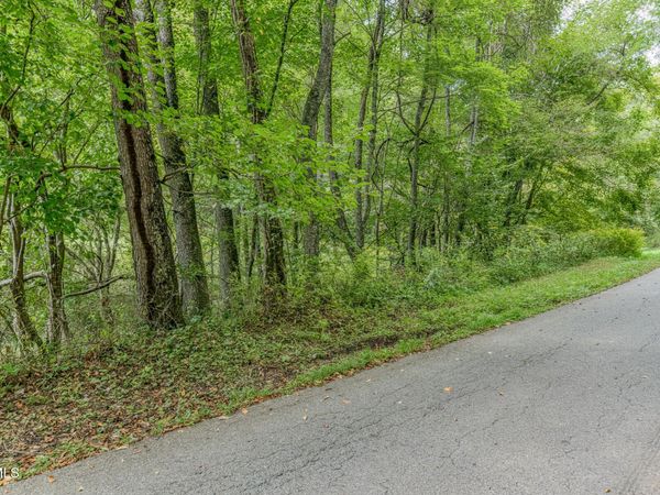 9.95 Acres Heaton Ridge Road, Roan Mountain, TN 37687