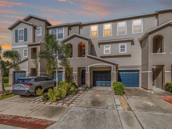 613 WHEATON TRENT PLACE, TAMPA, FL 33619