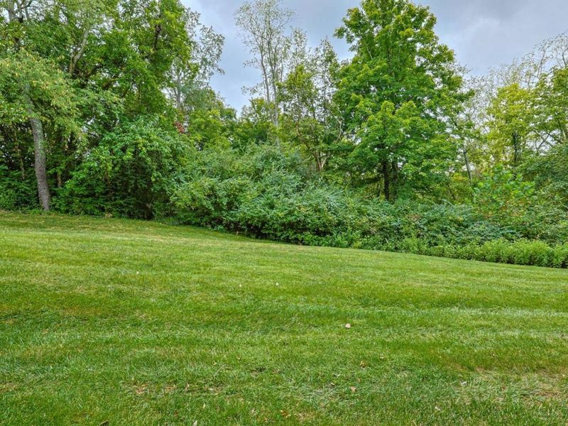 6219 Highcedar Court, Delhi Township, OH 45233 Photo 62