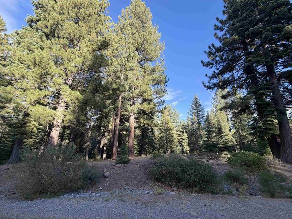 11853 Saddleback Drive , Truckee, CA 96161