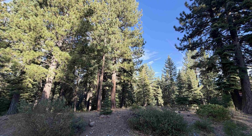 11853 Saddleback Drive , Truckee, CA 96161 Photo