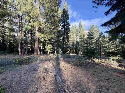 11853 Saddleback Drive , Truckee, CA 96161 Photo