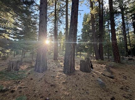 11853 Saddleback Drive , Truckee, CA 96161 Photo