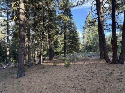 11853 Saddleback Drive , Truckee, CA 96161 Photo