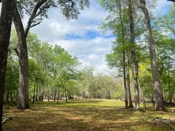 TBD NW 120TH TRAIL, Branford, FL 32008