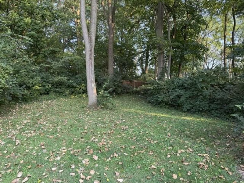 1126 Burt Street, Springfield, OH 45505 Photo 31