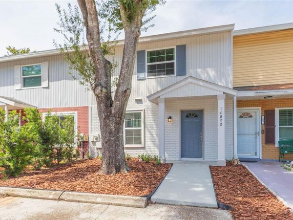 14032 LEMON VALLEY PLACE, TAMPA, FL 33625