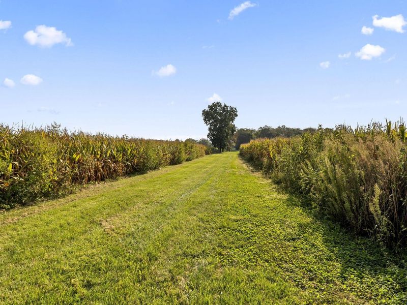 13450 Hoover Road, Ashville, OH 43103 Photo 26