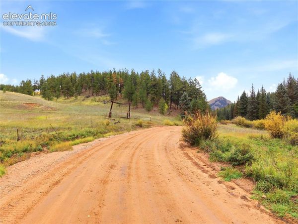 8567 County Road 3 , Divide, CO 80814