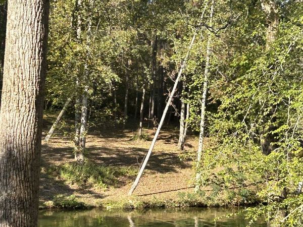 023 Co Rd 30, Florence, AL 35634