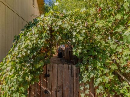 202 Westview Dr, Jackson, CA 95642 Photo
