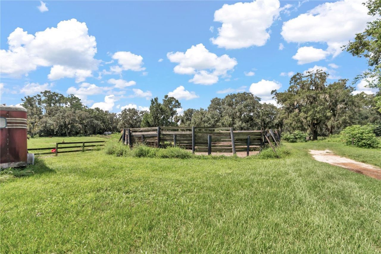Please Call For Address, Reddick, FL 32686 Photo