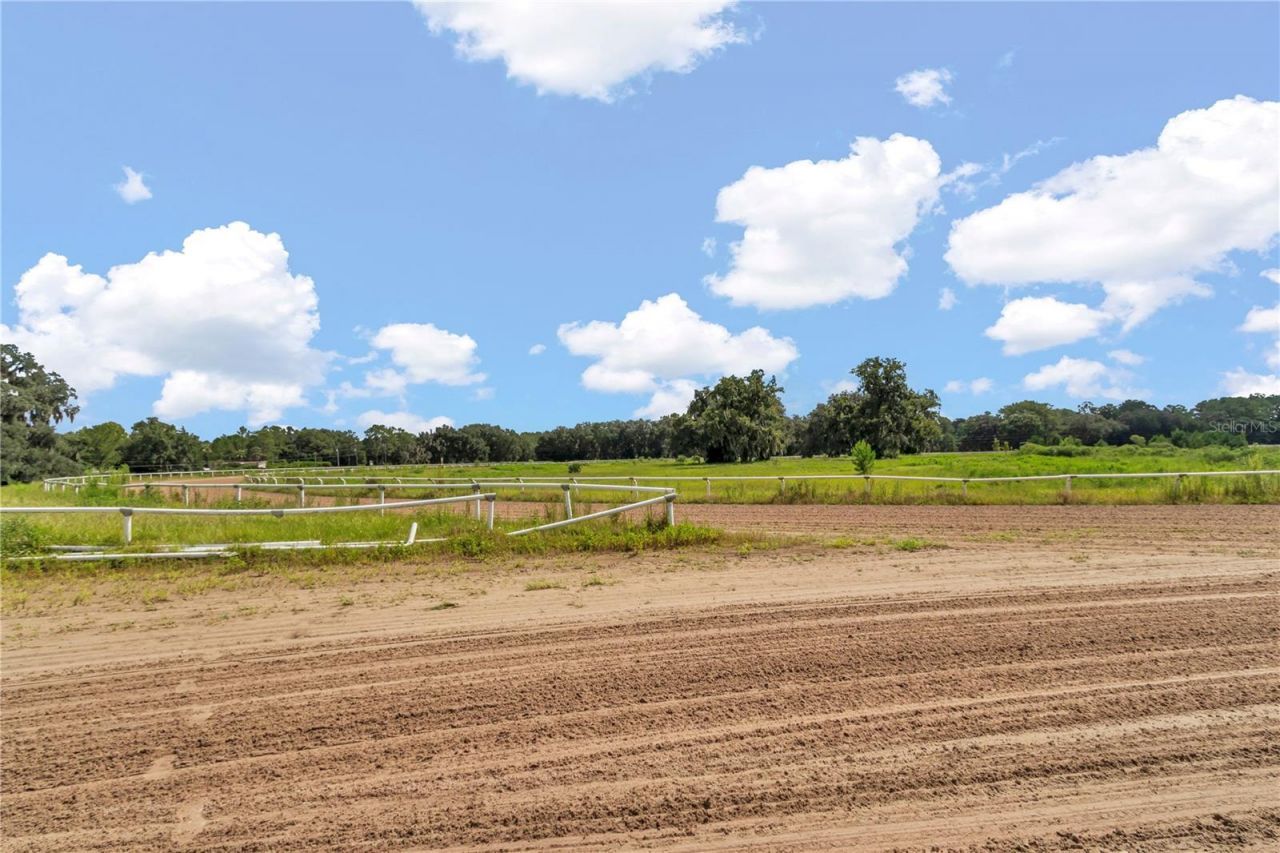 Please Call For Address, Reddick, FL 32686 Photo