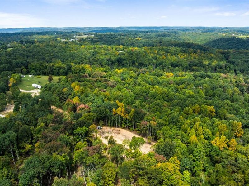 0 Hackworth Hill Road, Rarden Township, OH 45657 Photo 5