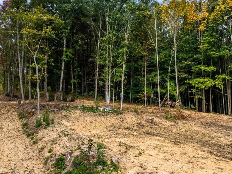 0 Hackworth Hill Road, Rarden Township, OH 45657 Photo 6