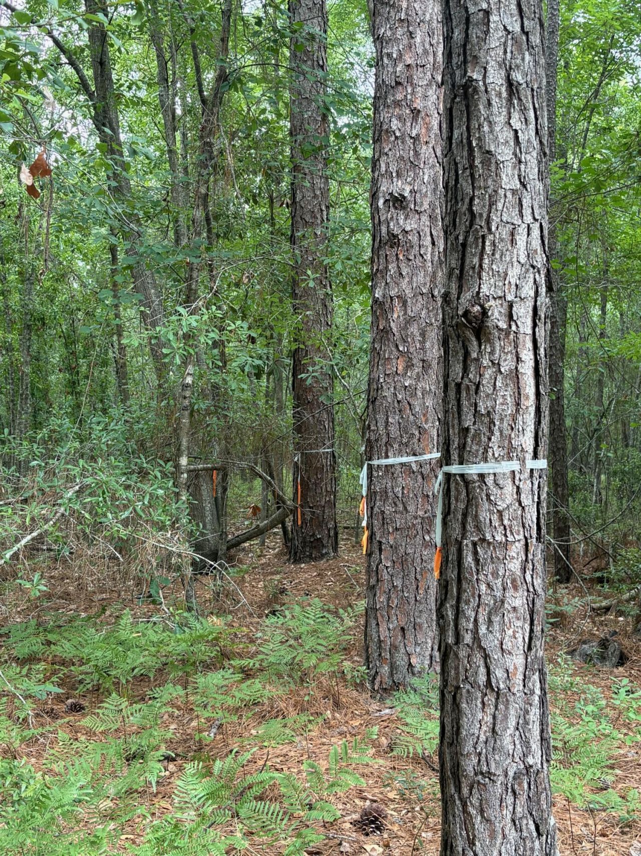 0 Aaron Lane Photo 11