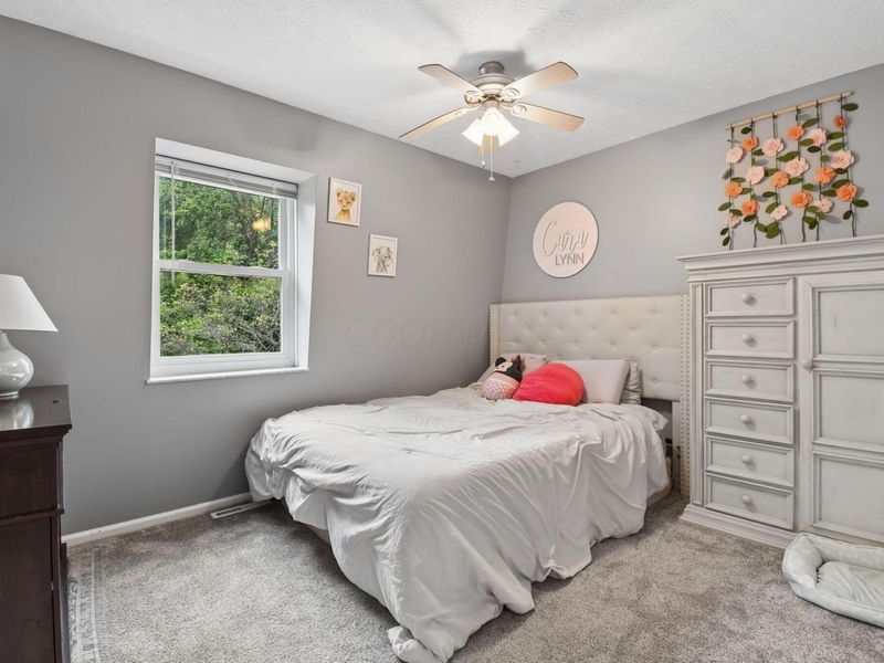 9191 Carriage Lane , Pickerington, OH 43147 Photo 19