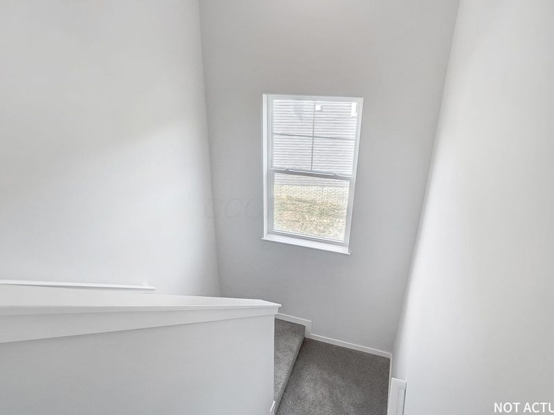 9 Water Mill Drive , Ashville, OH 43103 Photo 19