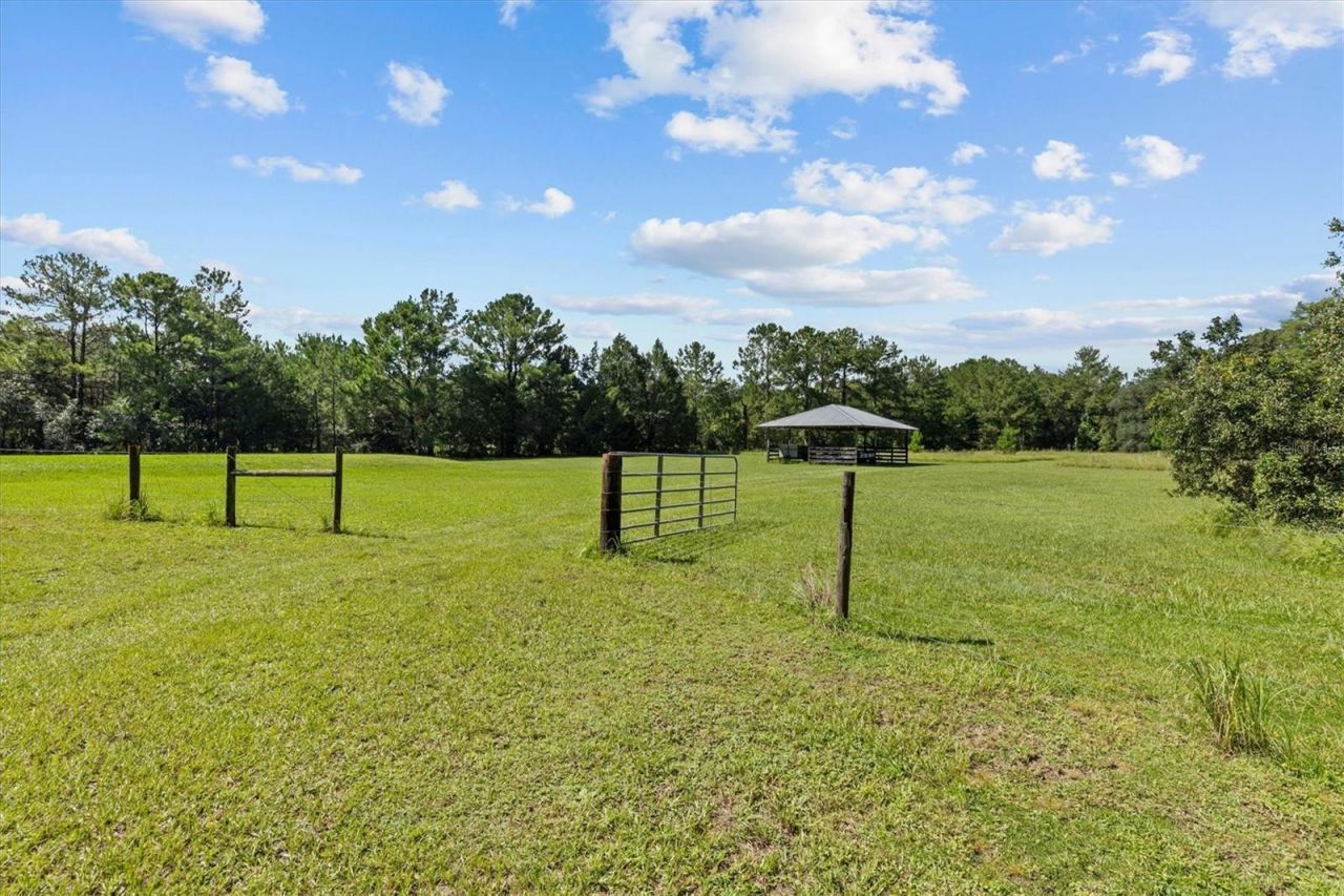7041 Quarterhorse Lane, Brooksville, FL 34604 Photo