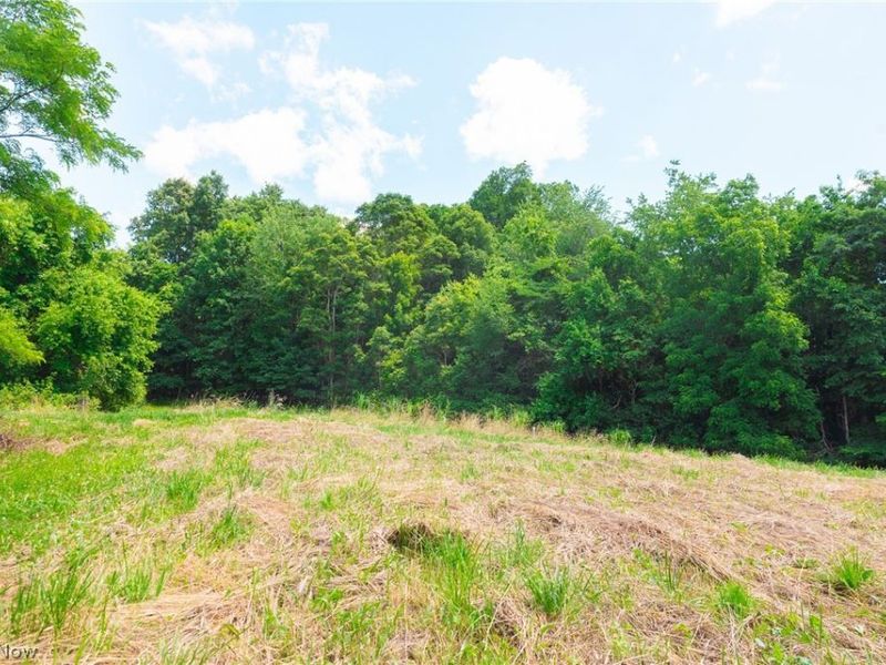 Clay Pike Road, Chandlersville, OH 43727 Photo 19