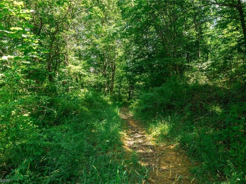 Clay Pike Road, Chandlersville, OH 43727 Photo 25