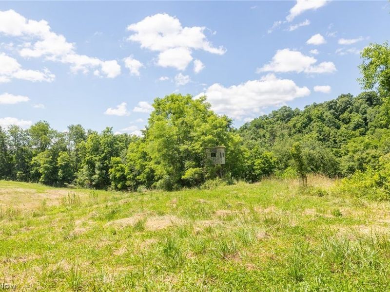 Clay Pike Road, Chandlersville, OH 43727 Photo 28