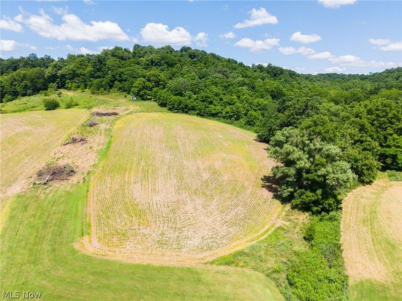 Clay Pike Road, Chandlersville, OH 43727 Photo 37