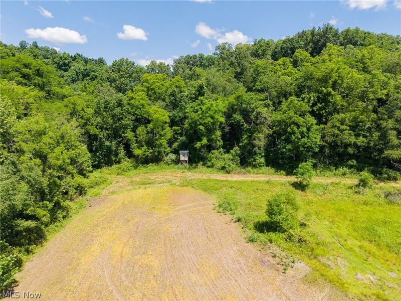Clay Pike Road, Chandlersville, OH 43727 Photo 5