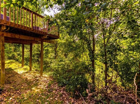 Main Photo