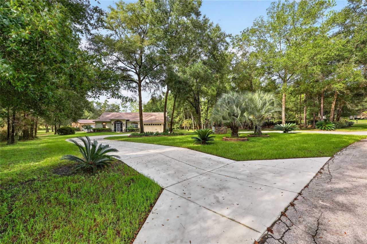 21675 SW 84th Loop, Dunnellon, FL 34431 Photo
