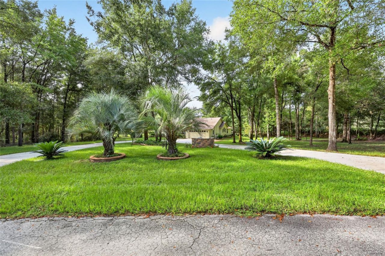 21675 SW 84th Loop, Dunnellon, FL 34431 Photo