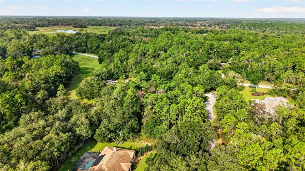 21675 SW 84th Loop, Dunnellon, FL 34431 Photo