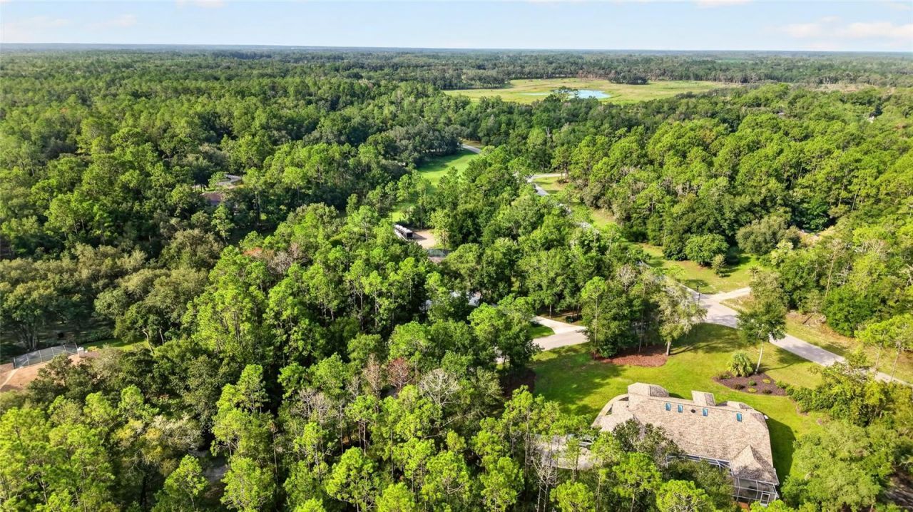 21675 SW 84th Loop, Dunnellon, FL 34431 Photo