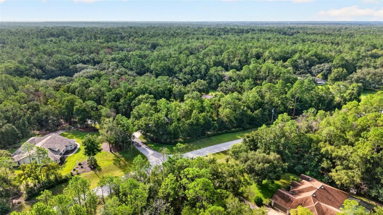 21675 SW 84th Loop, Dunnellon, FL 34431 Photo