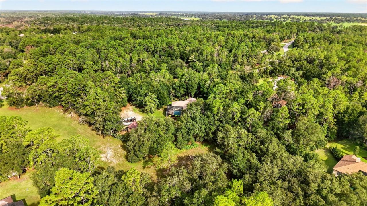 21675 SW 84th Loop, Dunnellon, FL 34431 Photo