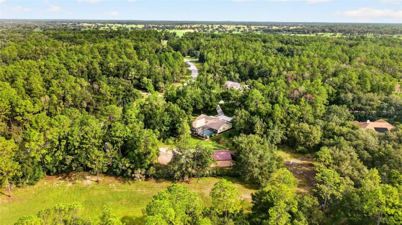 21675 SW 84th Loop, Dunnellon, FL 34431 Photo