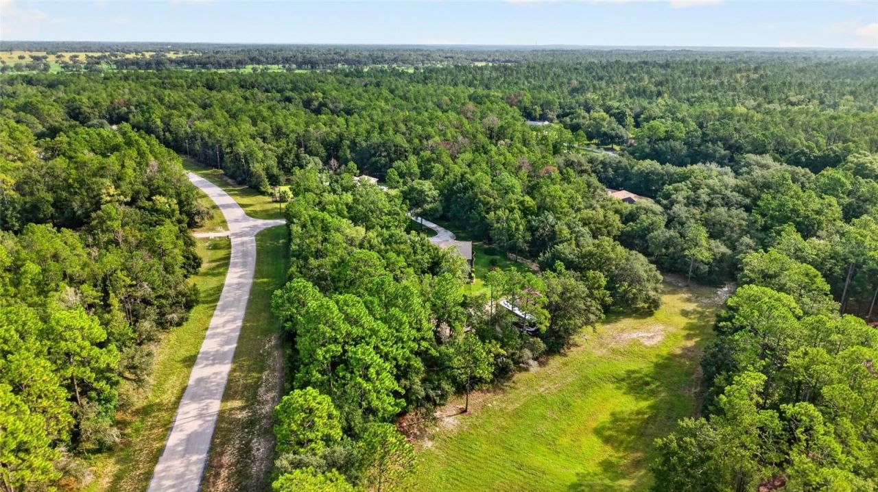 21675 SW 84th Loop, Dunnellon, FL 34431 Photo