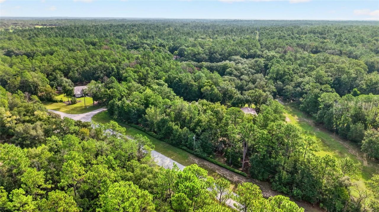 21675 SW 84th Loop, Dunnellon, FL 34431 Photo