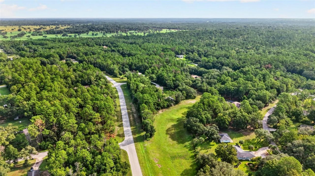 21675 SW 84th Loop, Dunnellon, FL 34431 Photo