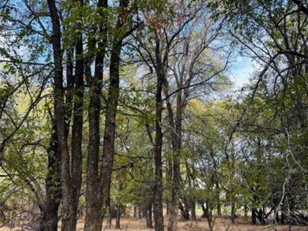 7103 Cedar Valley Drive , Whitney, TX 76692