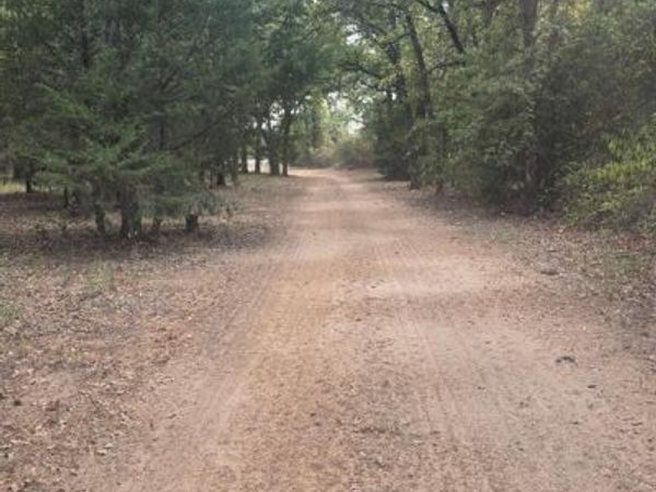 490 HCR 1250, Whitney, TX 76692